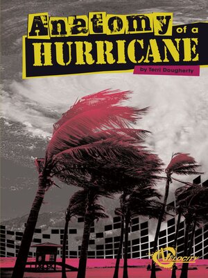 cover image of Anatomy of a Hurricane